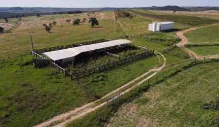 Fazenda de dupla aptidão em Serranópolis - Go