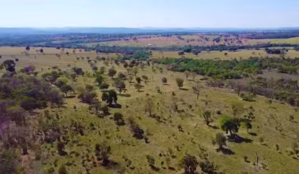 Fazenda de dupla aptidão em Campina Verde- MG: Uma Oportunidade Única!