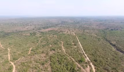 Fazenda de dupla aptidão á venda na região de Damianópolis-GO