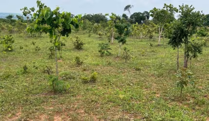 Excelente fazenda em Serranópolis-Go