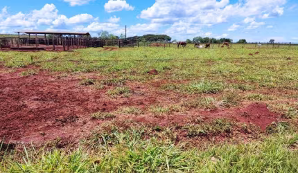Fazenda de Dupla Aptidão em Campo Grande, MS - 2000 Hectares de Oportunidade!