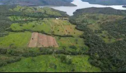 Oportunidade Única! Fazenda com Gado Pronto para Produção em Corumbaíba