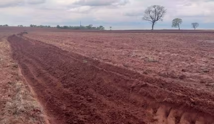 Fazenda de Dupla Aptidão em Campina Verde, MG - 156 Alqueires de Puro Potencial!