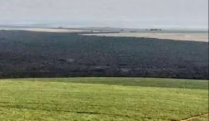 Fazenda de Cana à Venda em Mineiros-GO