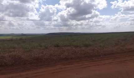Fazenda Cana de açúcar em Mineiros- Go.