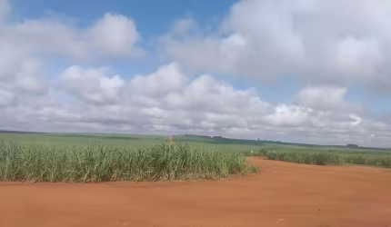 Fazenda Cana de açúcar em Mineiros- Go: Oportunidade Única!