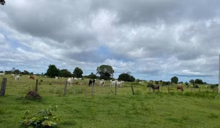 Incrível Oportunidade: Fazenda de 20.000 Hectares em Cocalinho - MT - Dupla Aptidão e Infraestrutura Completa!