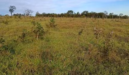 Belissima fazenda a venda em Itarumã-Go