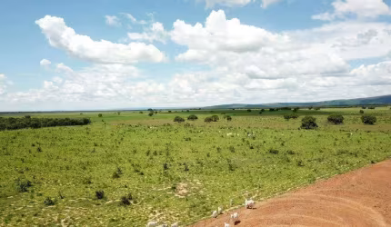 Ótima fazenda a venda em Iturama-MG