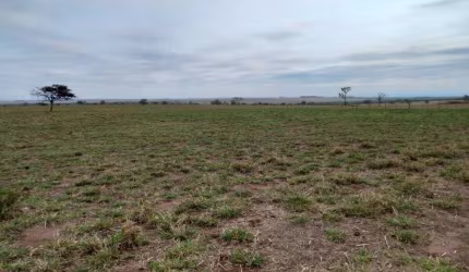 Explore Novos Horizontes: Fazenda Excepcional à Venda em Cocalinho-MT