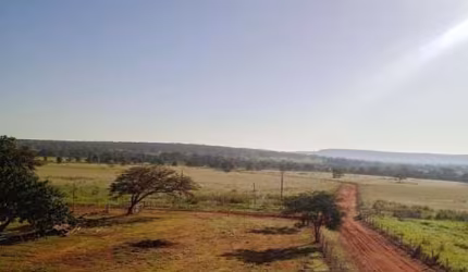 Fazenda região Santa vitoria