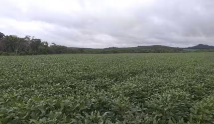 Fazenda em Paranatinga-MT