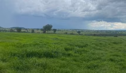 Fazenda na Área Rural de Itarumã - GO