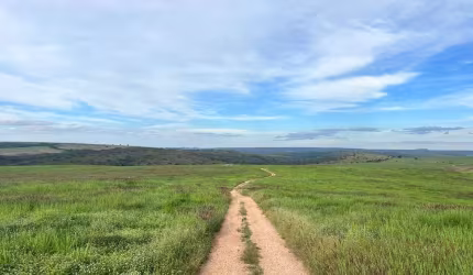 Ótima Fazenda na Área Rural de Campo Alegre