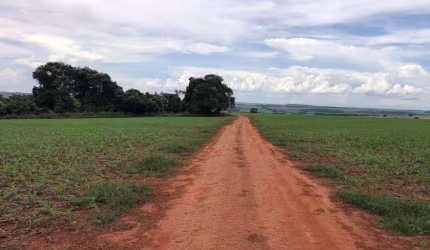 Fazenda na Área Rural de Rio Verde - GO