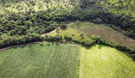 Fazenda na Área Rural de Várzea da Palma