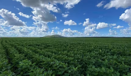 Fazenda na Área Rural de Boa Vista