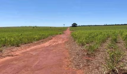 Fazenda na Área Rural de Teodoro Sampaio