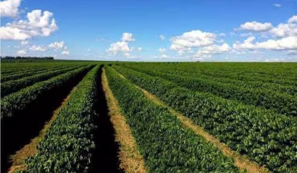 Fazenda à venda, Área Rural de Teófilo Otoni - Teófilo Otoni/MG