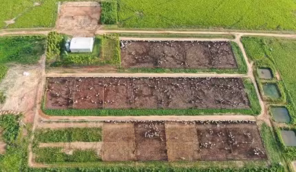 Excelente fazenda para pecuária na região de Comodóro-MT divisa com Rondônia.