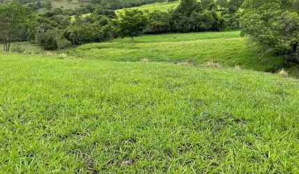 Fazenda em Araguari-MG sentido Amanhece-MG