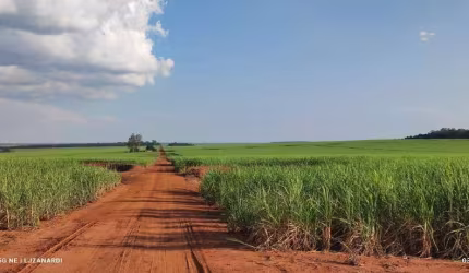 Fazenda de Lavoura em Chapadão do Céu - GO