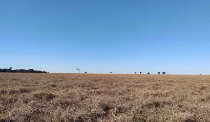 Fazenda de pecuária com aptidão para lavoura em Paraíso das Águas - MS