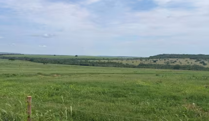 Fazenda 387,2 hectares de Dupla Aptidão Próxima a Uberlândia, MG!