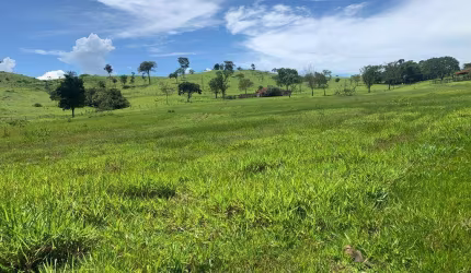 Fazenda Excepcional a 30 km de Araguari-MG