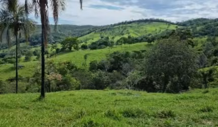 Excelente fazenda em Itapuranga-GO