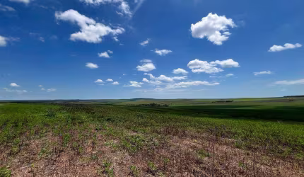 Fazenda Espetacular em Cristalina, GO - 1132 Hectares
