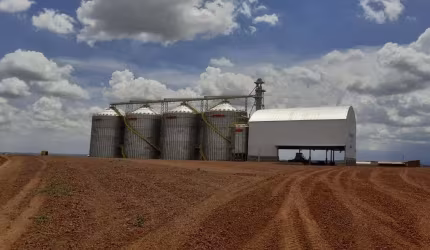 Fazenda com dupla aptidão a venda em São João d'aliança - GO, próximo a Formosa - GO