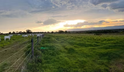 Fazenda de dupla aptidão localizada no município de Flor de goias - Go próximo a Agua Fria - Go