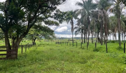 Excelente Fazenda a venda com dupla aptidão no município Prata - MG.