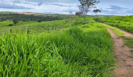 Fazenda a venda na area rural de campo alegre - GO.