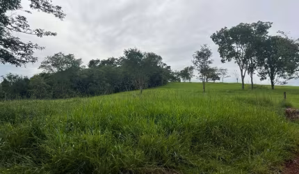 Fazendinha a venda entre Araguari e trevo de Indianópolis - MG