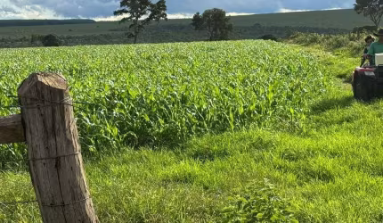 Grande fazenda a venda na área rural de Brasilândia de Minas - MG
