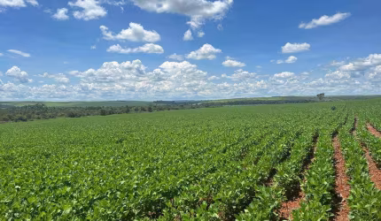 Fazenda à venda, Area rural de cristalina - CRISTALINA/GO