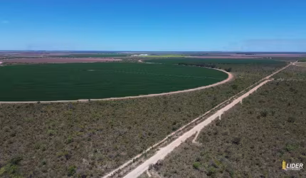 Fazenda à venda, AREA RURAL DE JABORANDI - BA - Jaborandi/BA