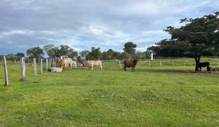 Fazenda à venda, Área Rural de Niquelândia - Niquelândia/GO