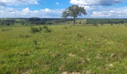 Fazenda à venda, AREA RURAL PRESIDENTE OLEGARIO MG - PRESIDENTE OLEGARIO/MG