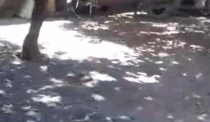Chácara à venda, 4 quartos, 1 suíte, MORADA NOVA - Uberlândia/MG