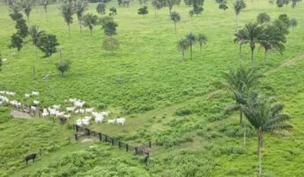 Fazenda à venda, AREA RURAL DE ARAGUAINA - TO - ARAGUAINA/TO