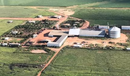 Fazenda à venda, AREA RURAL DE BRIANORTE-MT - Nova Maringá/MT