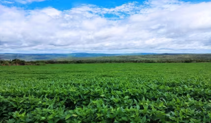 Fazenda à venda, AREA RURAL DE DOVERLANDIA - GO - Doverlândia/GO