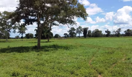 Explore o Paraíso Rural: Fazenda Excepcional à Venda em Cocalinho - MT