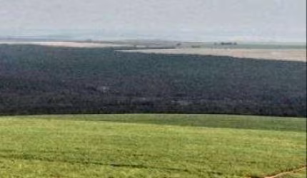 Fazenda à venda, Área Rural de Mineiros - MINEIROS/GO