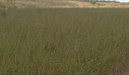 Fazenda à venda, Área Rural de Niquelândia - Niquelândia/GO