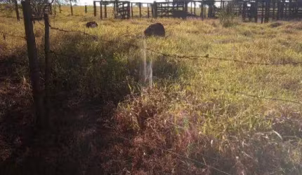 Fazenda à venda, Área Rural de Campo Alegre de Goiás - CAMPO ALEGRE DE GOIAS/GO