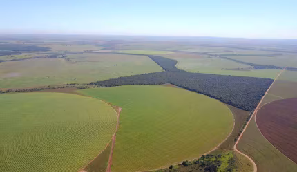 Fazenda à venda, ÁREA RURAL DE UBERLÂNDIA - Uberlândia/MG
